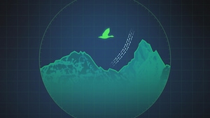 image infographique d'un oiseau migrateur dans un radar