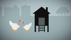 Image infographique de deux poules à l'extérieur d'un poulailler.