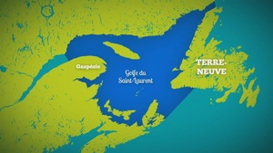 Carte de l'est du Québec avec une zone en bleu qui représente le Golfe Saint-Laurent.