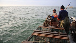 La pêche au homards à l'île d'Anticosti.
