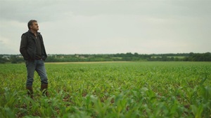L'agriculteur français Paul François debout dans un champs de maïs.