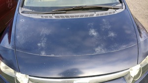 Le capot d'une voiture Honda Civic montrant des signes de dégradation dans la peinture bleue.