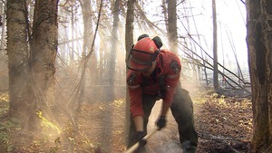 «Je n'ai jamais vu des incendies d’une telle ampleur»