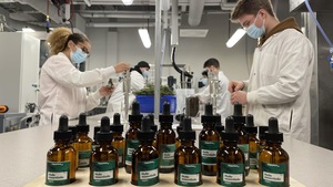 Projet scolaire de distillation de sapins naturels pour récolter les huiles essentielles.