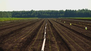 Terre dans les champs.