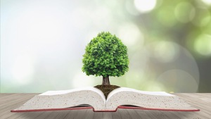 Un arbre pousse dans un livre posé sur une table.