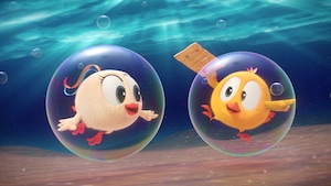 L'aquarium