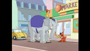 Un éléphant dans la ville