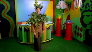 Cachette plante camouflage 