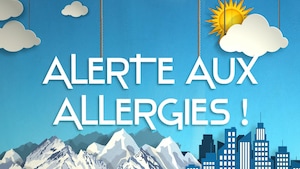 Alertes aux allergies