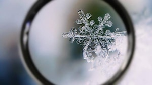 Les merveilles de la neige