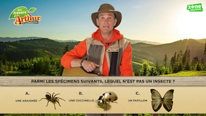 Jeu sur les insectes