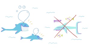 Comment font les poissons pour respirer sous l’eau?