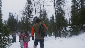 La nature et le froid