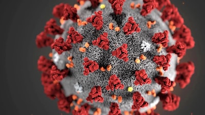 COVID-19 : tout sur la pandémie du coronavirus