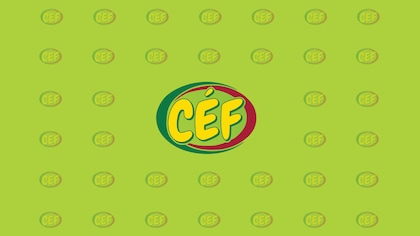 Le logo du conseil des écoles fransaskoises.