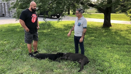 Hugo Girard et Jean Lessard qui discutent dans un parc en compagnie de ses deux cane corso, Shadow et Hunter.