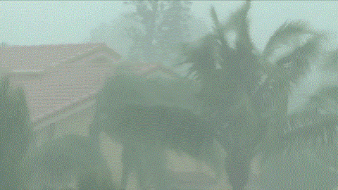 La force des vents apportés par l'ouragan Irma à Miami en Floride La force des vents apportés par l'ouragan Irma à Miami en Floride