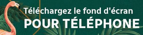 Téléchargez le fond d'écran pour téléphone.