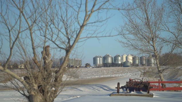 Au Québec, les producteurs agricoles possédaient en 2011 84 % des terres qu’ils exploitaient. Au Québec, les producteurs agricoles possédaient en 2011 84 % des terres qu’ils exploitaient.
