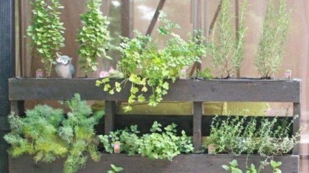 Un exemple de jardin vertical dont souhaite s'inspirer le restaurant Le Cachottier. Un exemple de jardin vertical dont souhaite s'inspirer le restaurant Le Cachottier.