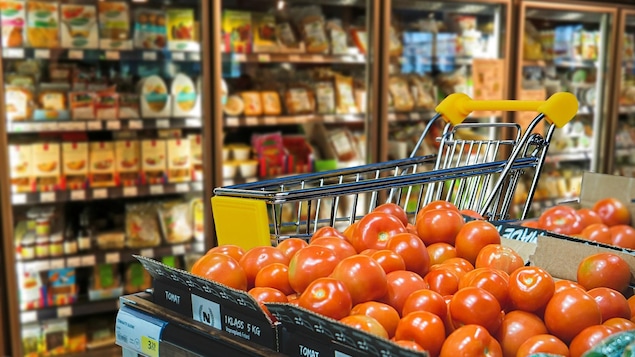 Au premier plan des tomates et au second plan les gros réfrigérateurs