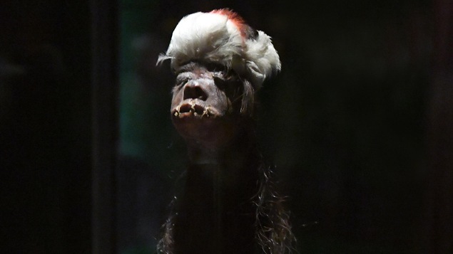 Tsantsa (tête réduite), préparée autrefois par les « Jivaro ». Coton, plumes, tête humaine avec chevelure. Pérou ou Équateur. Musées royaux d’Art et d’Histoire, Bruxelles, Belgique Tsantsa (tête réduite), préparée autrefois par les « Jivaro ». Coton, plumes, tête humaine avec chevelure. Pérou ou Équateur. Musées royaux d’Art et d’Histoire, Bruxelles, Belgique