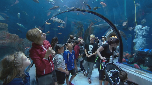 L'aquarium du Québec.