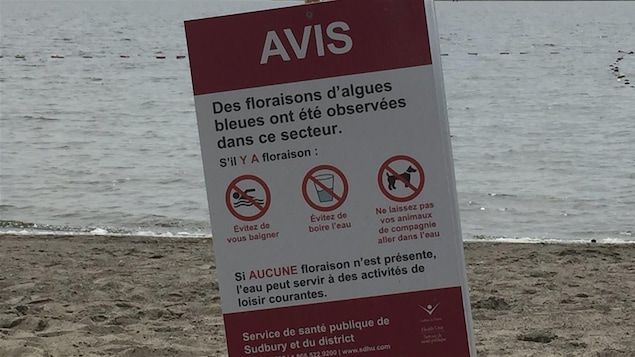 Pancarte signalant présence d'algues bleu-vert