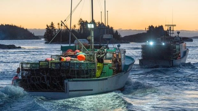 Les permis de pêche peuvent parfois être vendus pour des centaines de milliers de dollars.