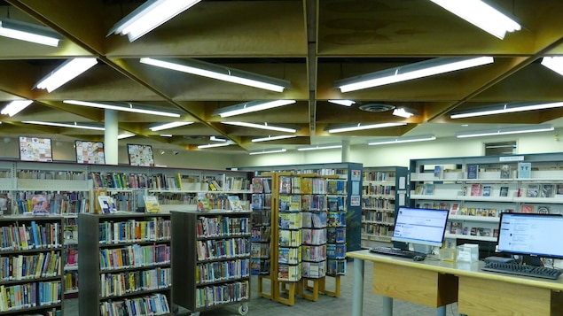 rangée de livres dans une bibliothèque rangée de livres dans une bibliothèque