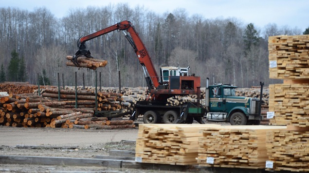 Des arbres coupés en rondins sont transportés par camion.