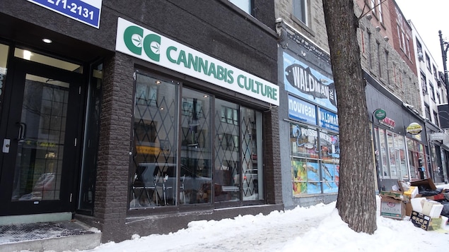 cannabis-culture-magasin-montreal.JPG