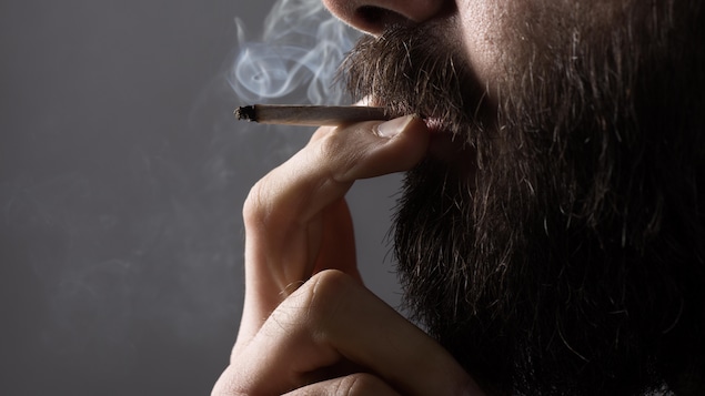 Légalisation de la marijuana