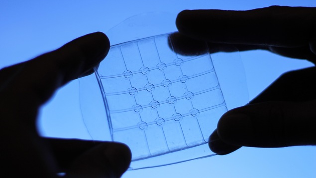 Deux mains tiennent un capteur tactile pliable, étirable et transparent. Deux mains tiennent un capteur tactile pliable, étirable et transparent.