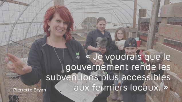 Pierrette Bryan : « Je voudrais que le gouvernement rende les subventions plus accessibles aux fermiers locaux. »
Pierrette Bryan : « Je voudrais que le gouvernement rende les subventions plus accessibles aux fermiers locaux. »