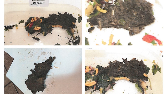 Images de la carcasse d'animal qui a été retrouvée dans le plat de la plaignante.