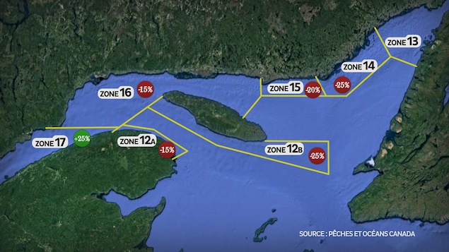 Carte des quotas de pêche de crabe des neiges recommandés dans l'Est du Québec. 