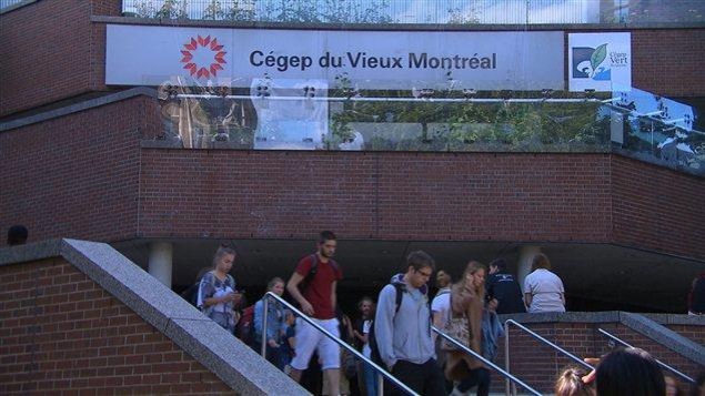 Propos homophobes  un professeur de cégep suspendu plaide la liberté d