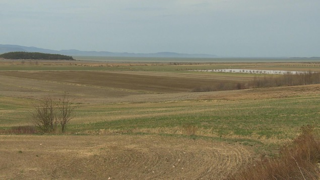 Terre agricole dans le Kamouraska. Terre agricole dans le Kamouraska.