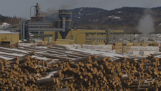 Billots de bois cordés devant l'usine de transformation de Chantiers Chibougamau Billots de bois cordés devant l'usine de transformation de Chantiers Chibougamau