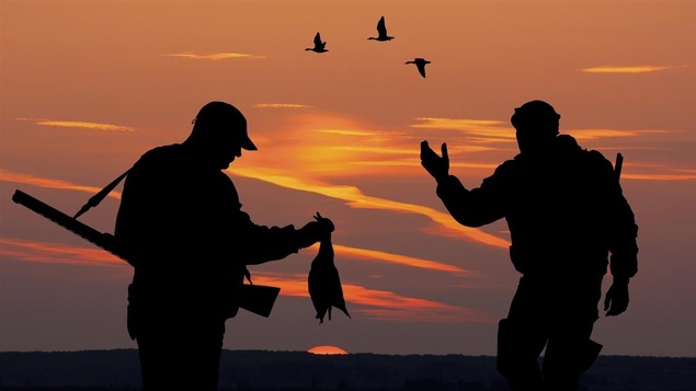 Des chasseurs à l’œuvre