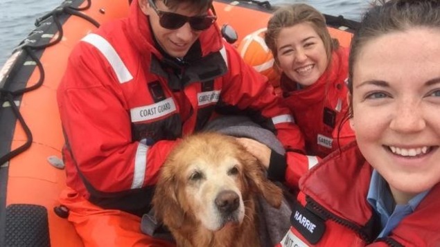 Harlow Lachance, Bronwyn Forsythe et Breagh Harrie après avoir porté secours au chien