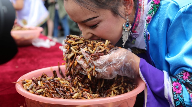 nos-peurs-injustifi-es-principal-frein-la-consommation-des-insectes