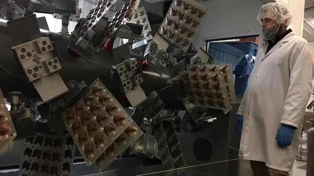 Un équipement pour la fabrication de poules en chocolat