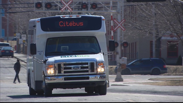 Un autobus de Citébus de la STR circule dans les rues de Rimouski.
Un autobus de Citébus de la STR circule dans les rues de Rimouski.