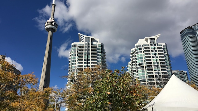 Photo de tours de condos près de la Tour CN.