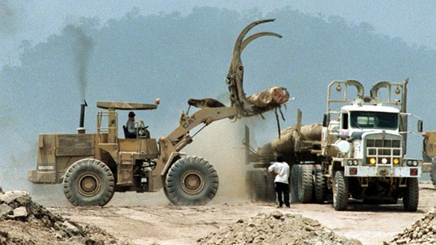 Coupe forestière en 2001 dans l’État de Sarawak, en Malaisie Coupe forestière en 2001 dans l’État de Sarawak, en Malaisie