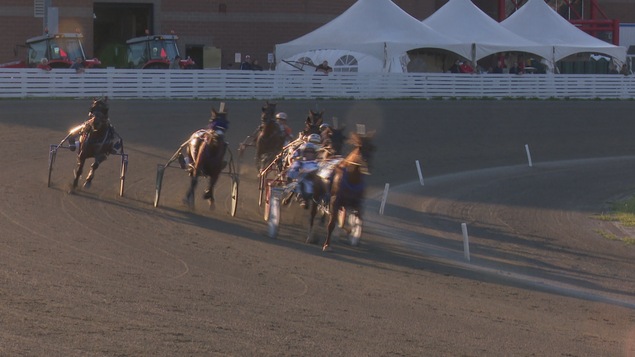 Une course de la Gold Cup and Saucer, à Charlottetown