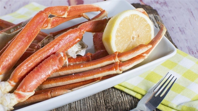 La saison du crabe des neiges est lancée.